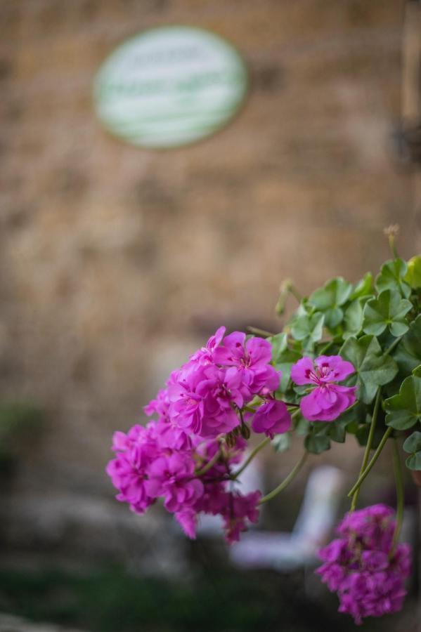 B&B Etruscan Garden Sutri Exterior foto